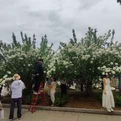 武汉二妃山庄湖畔花园酒店(光谷生物城科技会展中心店)·醉河鲜·非遗湖北菜 User Photo