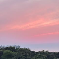 海鮮壽司とれとれ市場張用戶圖片