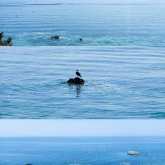 LANG COFFEE User Photo