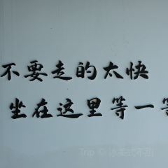 一树茶行 여행 사진