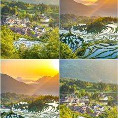 九龙奇迹海鲜大排档(万象城店) User Photo
