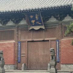 XINJIN TAO User Photo