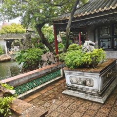 一姐顺德菜 User Photo