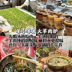 SHANHOUHAICAIBAOZI User Photo