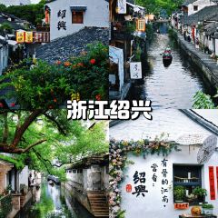 YI TANG YI BAO User Photo