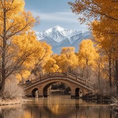 自選王大食堂張用戶圖片