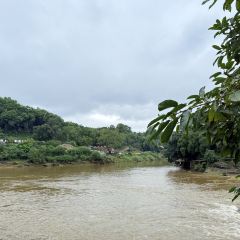 艾叶土鸡脚(艾叶店) User Photo