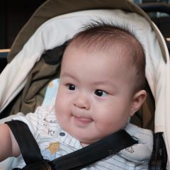 牡丹园·灵岩山房 User Photo