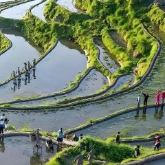 荣村农家乐 User Photo