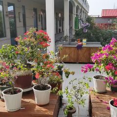 点将台星空营地(博乐赛里木湖店)·自助餐厅 User Photo