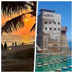 TIANCHENG NEST,SHARK-FINE&ABALONE User Photo