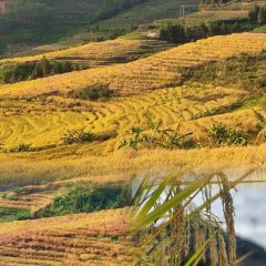 圆圈松跃生烫(新华商城小区店) User Photo