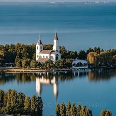 AWU YELLOW RIVER COMMON CARP 여행 사진