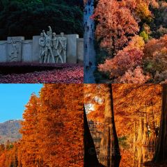 JINPENG SHOPKEEPER User Photo