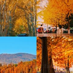 JINPENG SHOPKEEPER User Photo