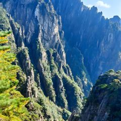 秀嫂挞粿 User Photo