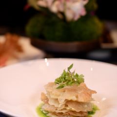 STAR OF PU User Photo