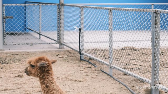 hui xian he dong wu yuan