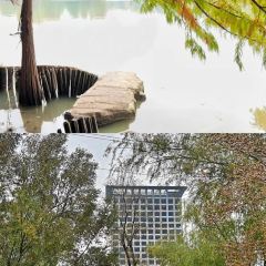 铁锅年代(天台店) User Photo