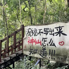 dirty duck Restaurant 여행 사진