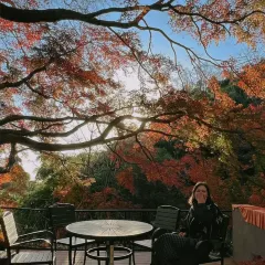 御香农家菜(后坞集散中心店) 여행 사진