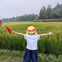 Old Kitchen User Photo