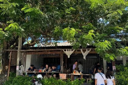 Black Gooseberry Chiangmai