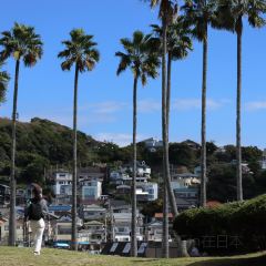 Malibu Farm Zushi Marina Restaurant User Photo