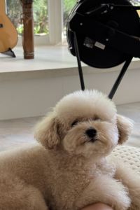 miaoxchen ロイヤルホテル 沖縄残波岬 クーポン