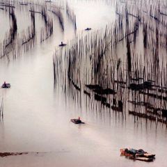 福宁海鲜大排档 User Photo