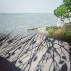 วนิลา สกาย (บางพระ) User Photo