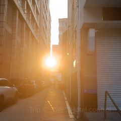 NEW JOYFUL HOTEL·CHINESE RSTAURANT User Photo