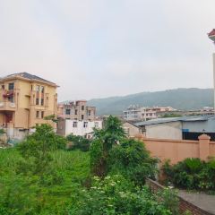 玉环中心温德姆花园酒店·花园自助餐厅 ảnh của người dùng