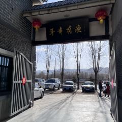 年年有渔渔府(滨河大道店) User Photo