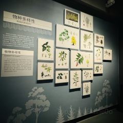 Yun Shang Ren Jia·Exquisite Farm-to-Table Cuisine User Photo