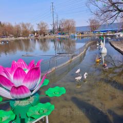泉上农贸市场 User Photo