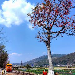 板井豆腐坊 ảnh của người dùng