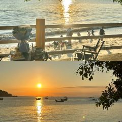 海边有棵树 여행 사진