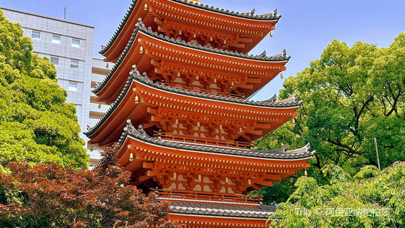 Fukuoka Tower