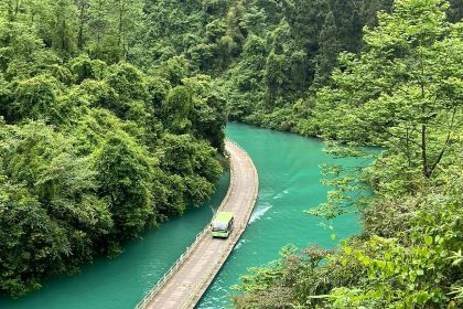 强哥烤活鱼(二店)