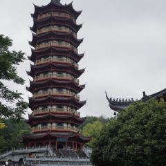 新昌蒸湯包張用戶圖片