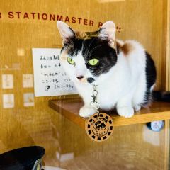 Tama Café User Photo