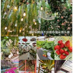 西那母生态庄园 User Photo