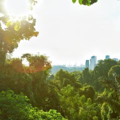 Dusk @ Mount Faber Peak User Photo