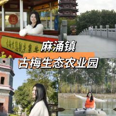 佳佳美手信店 User Photo