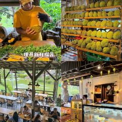 Rimba By Dking ( Durian & Restaurant ) User Photo