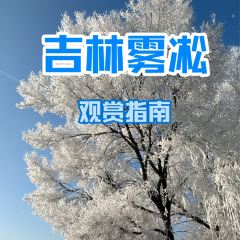 金秋鱼餐馆 User Photo