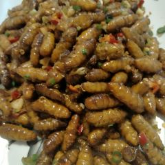 TaiZi Lou User Photo