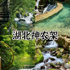 DA LOU SHAN FANG ZHU SUN User Photo
