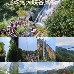 贵鑫综合农贸市场 User Photo